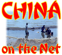China on the Net